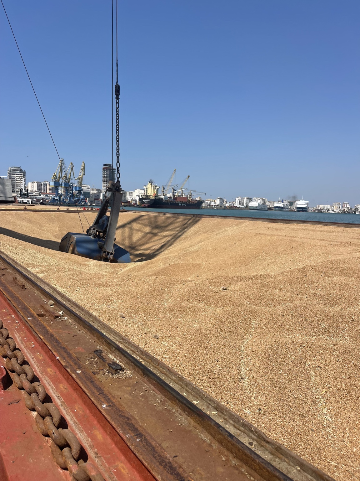 Crane grab unloading bulk grain from a vessel hold